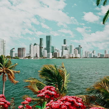 Miami Skyline | Fragrance Oil
