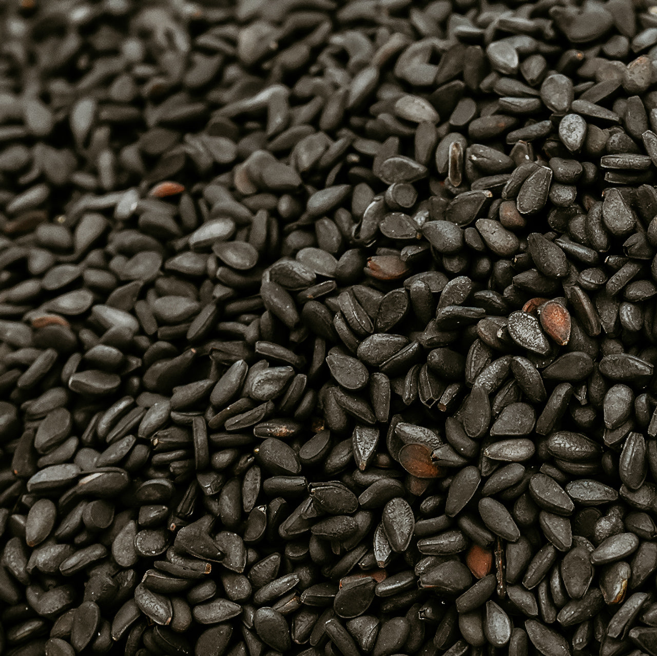 Black Sesame | Fragrance Oil