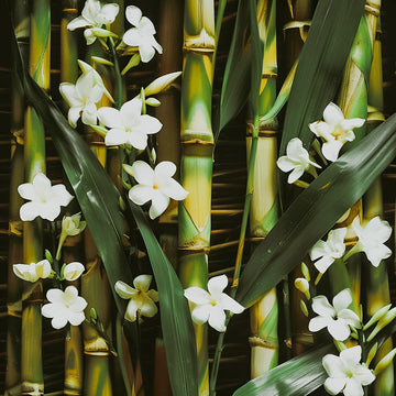 Sugarcane Jasmine | Fragrance Oil