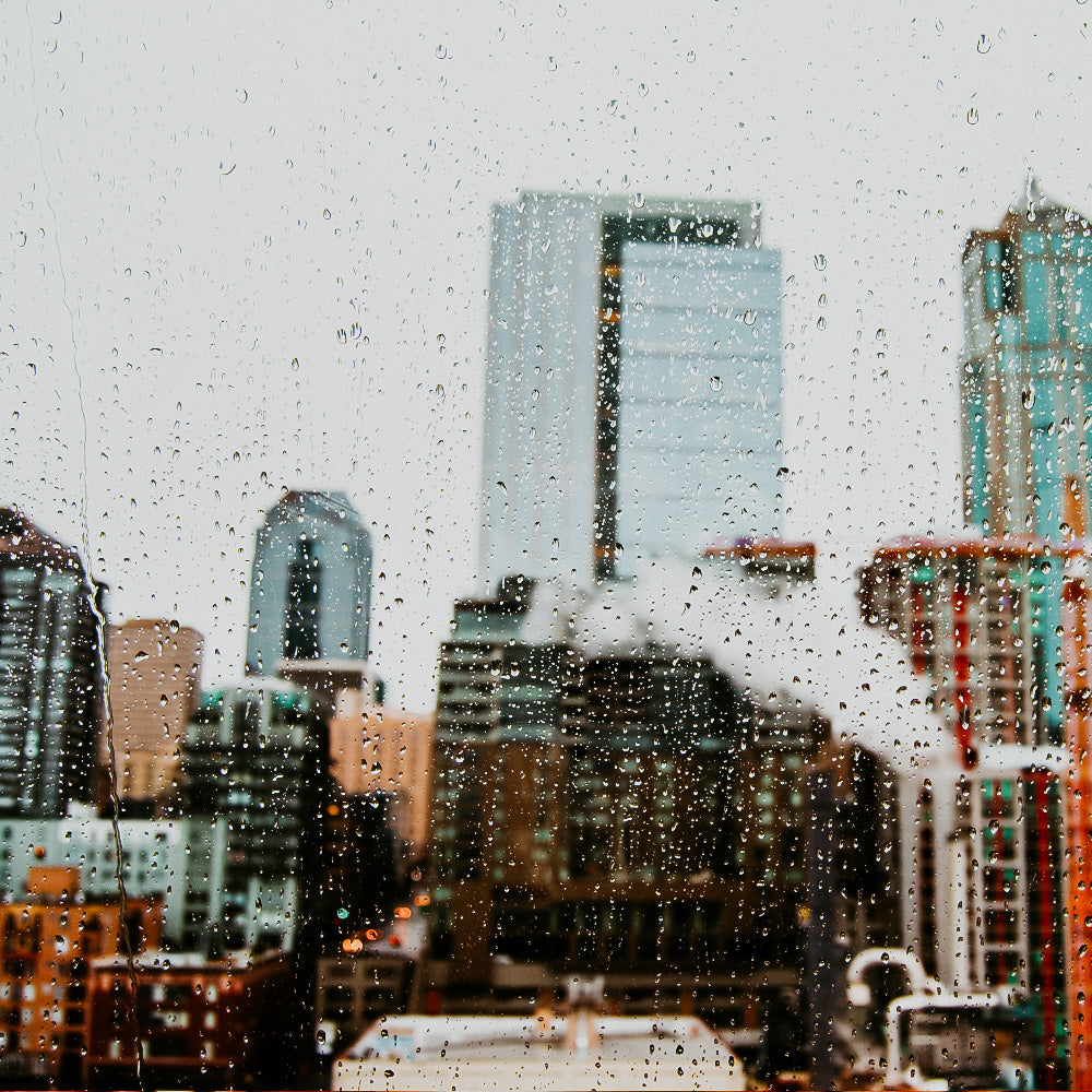 NEW YORK CITY RAIN Fragrance Oil DOOP Fragrance Co.