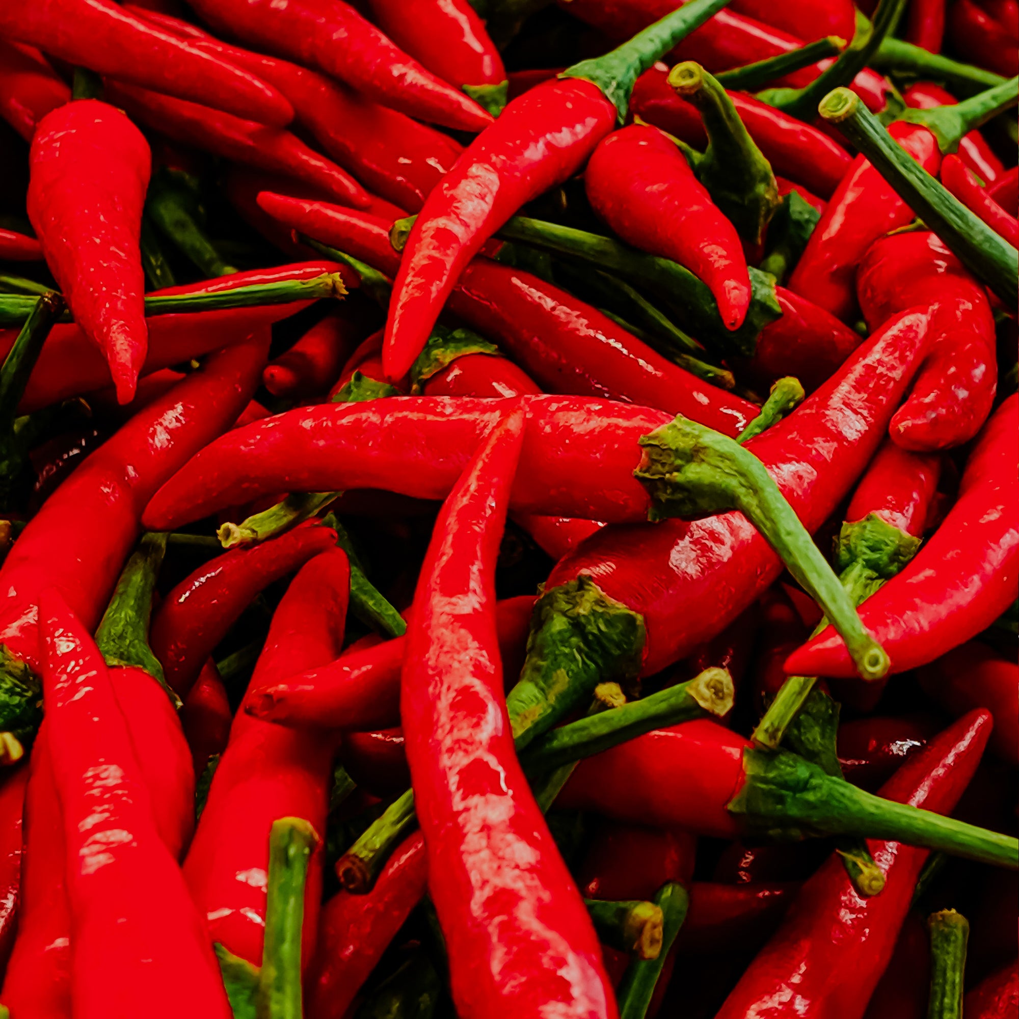 Sriracha | Fragrance Oil