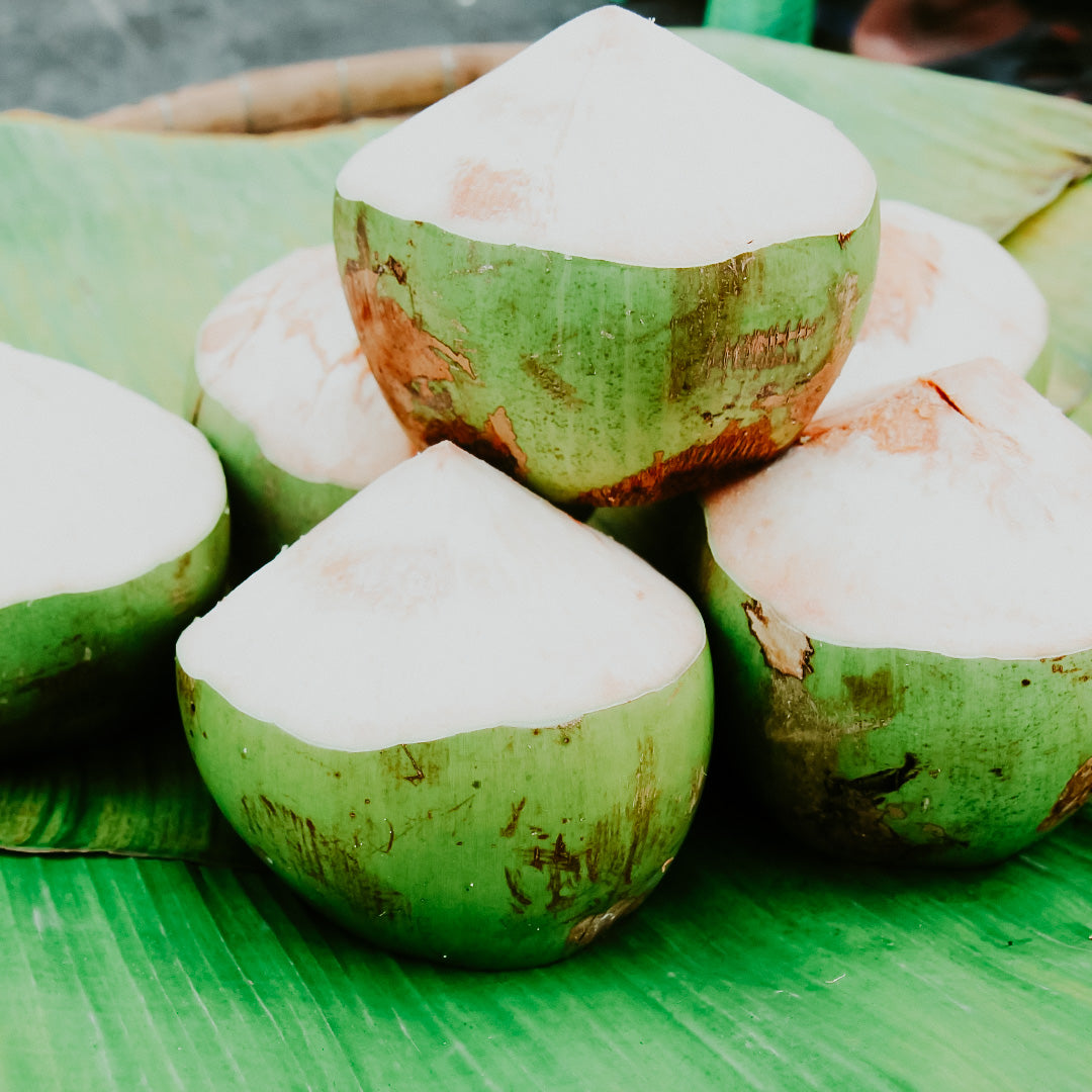 Thai Coconut + Santal Fragrance Oil