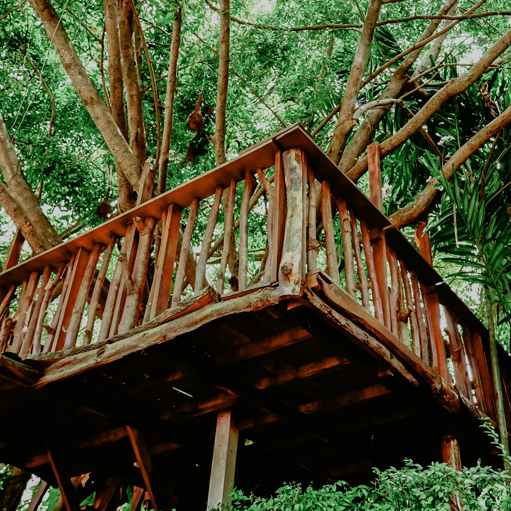 TREE HOUSE (BYREDO TREE HOUSE TYPE) | Fragrance Oil - DOOP