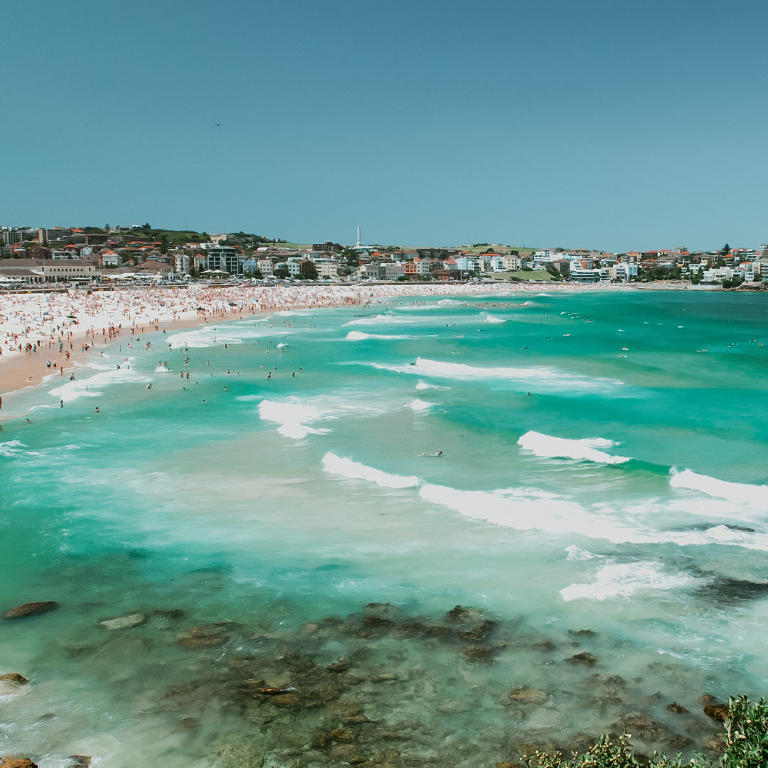Bondi Beach | Fragrance Oil