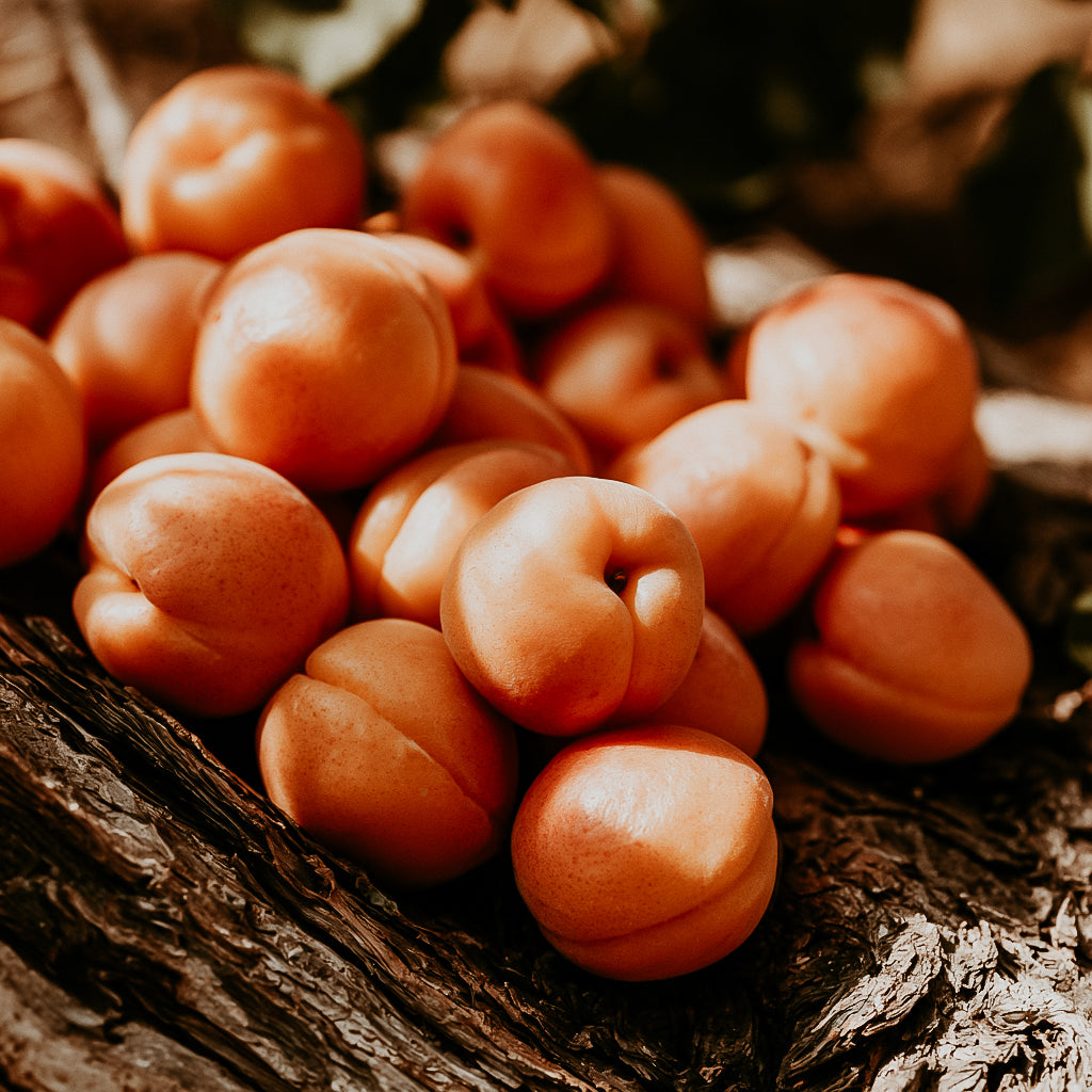 Apricot Wood | Fragrance Oil