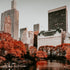An artistic representation of Central Park in New York City during autumn with a focus on the colorful trees and the skyline.