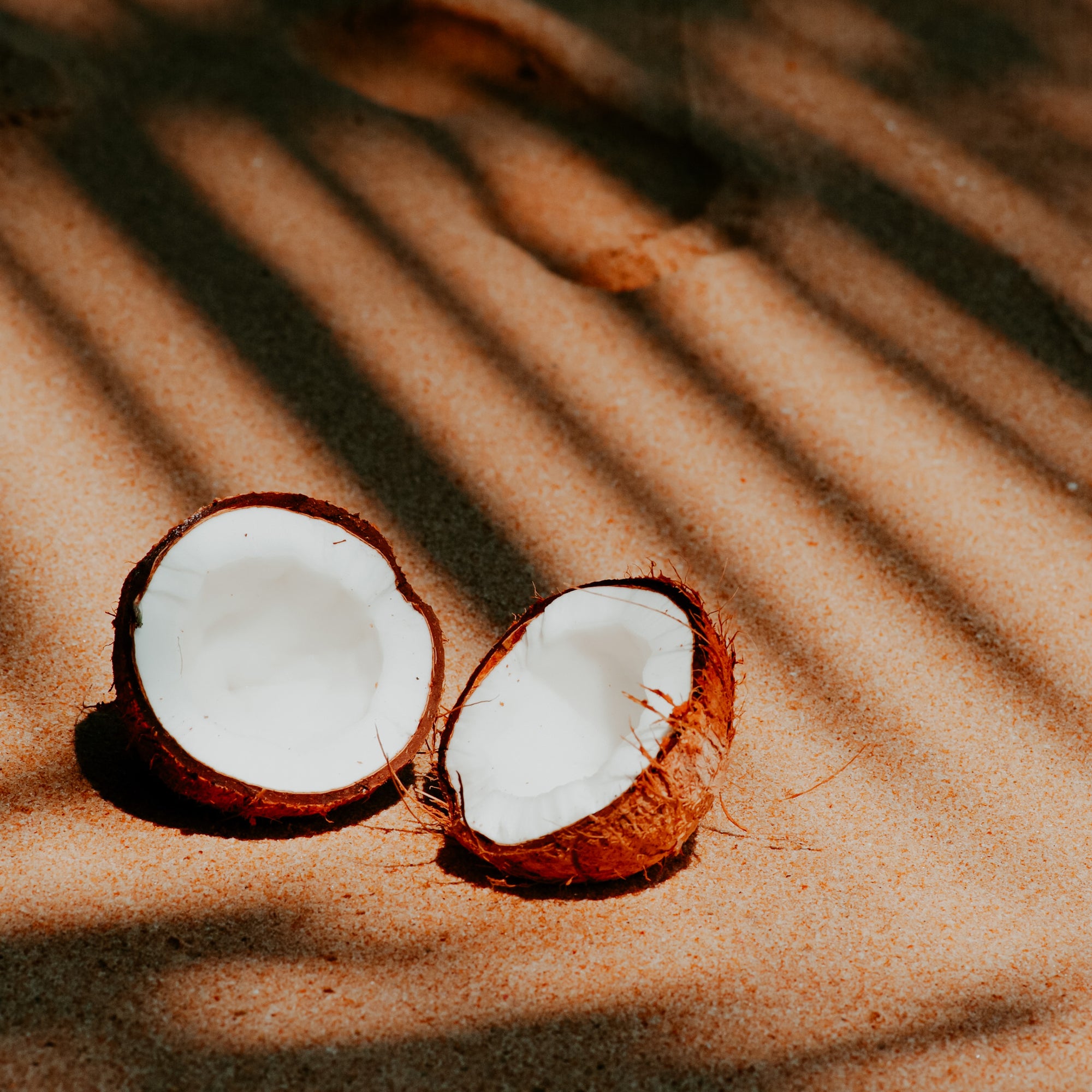 A halved coconut on a sandy surface with dappled shadows.