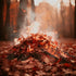 A bonfire with flames surrounded by autumn leaves on the ground.