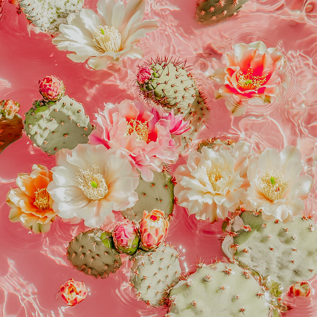 A synthetic representation of water surface with cacti and flowers, predominantly in pink tones.