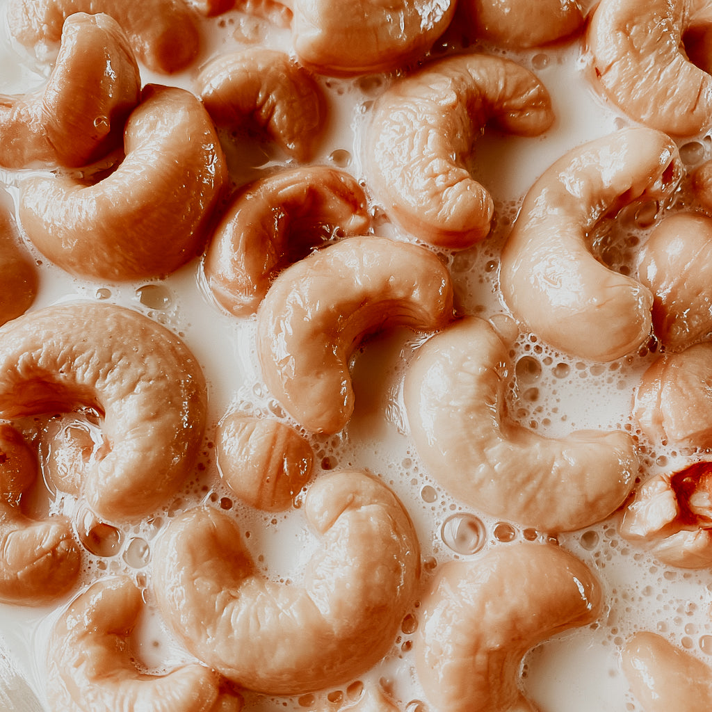 Cashew Musk | Fragrance Oil