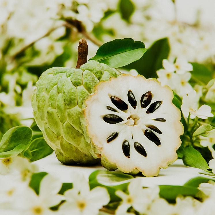 An image featuring a whole cherimoya fruit with a cut section revealing the black seeds inside, surrounded by white flowers and green leaves.