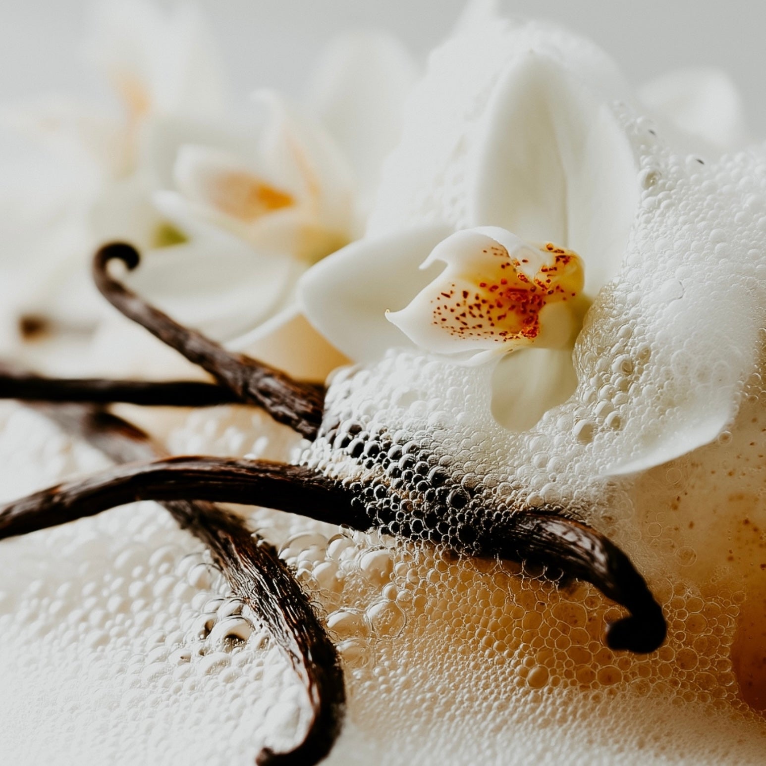 A close-up image of white orchids with vanilla beans and soap bubbles.