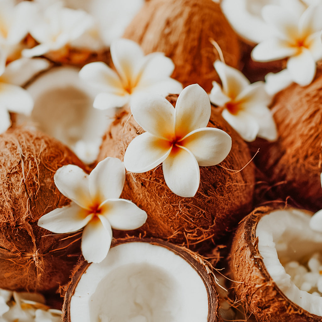 Coconuts with white flowers on a light background