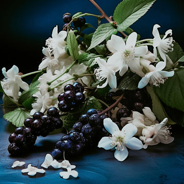 Black Currant & Blue Jasmine | Fragrance Oil