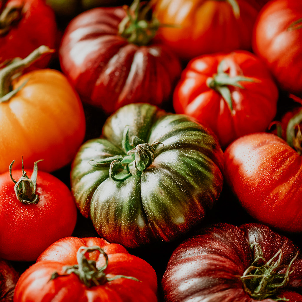 Assorted tomatoes including red, green, and orange varieties.