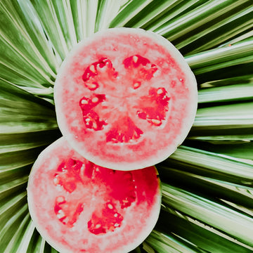 Pink Guava & Coconut Palms | Fragrance Oil