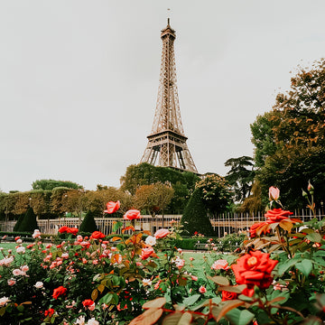 Parisian Petals | Fragrance Oil
