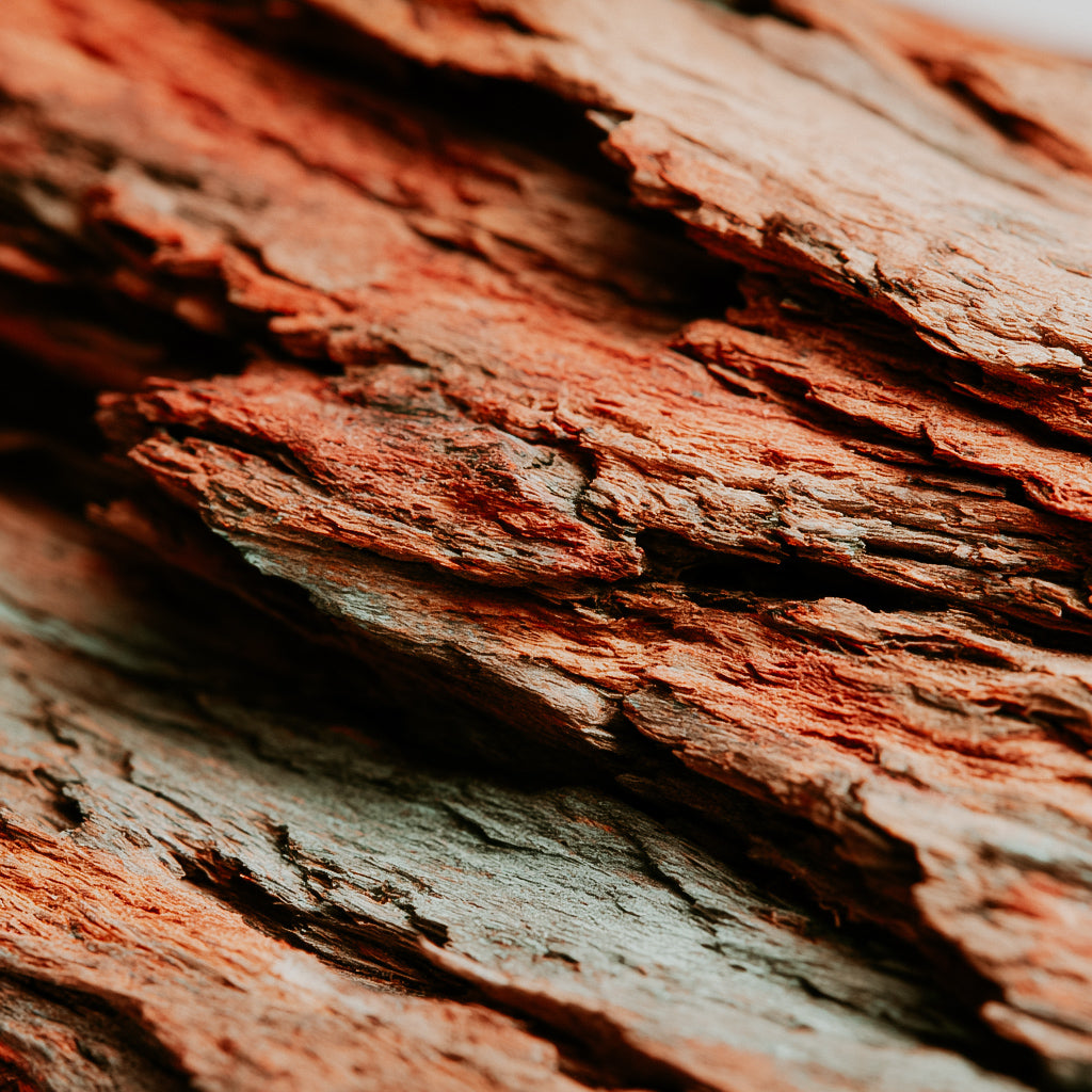 Close-up of textured wooden surface with a warm brown color.