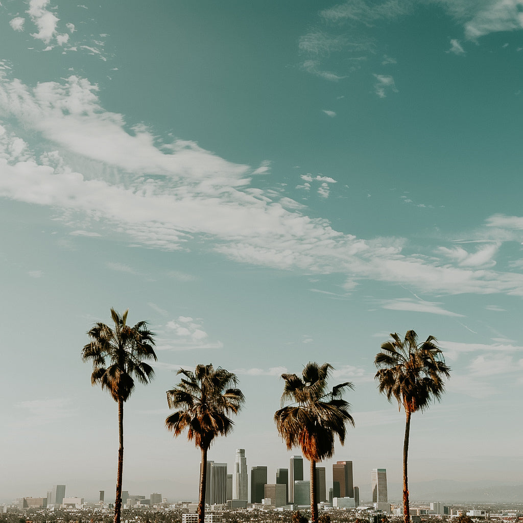 An image depicting palm trees with the Los Angeles skyline in the background.