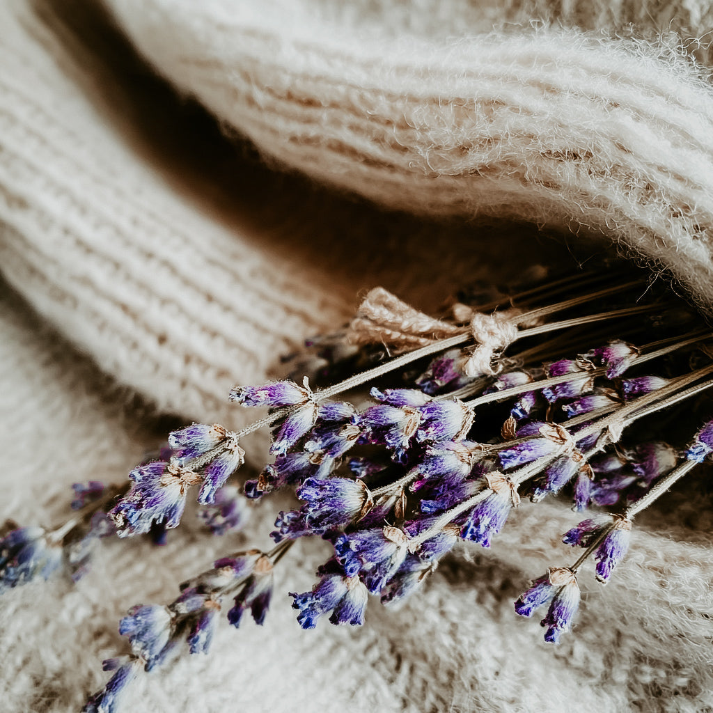 A bundle of dried lavender flowers resting on a beige, knit fabric surface.