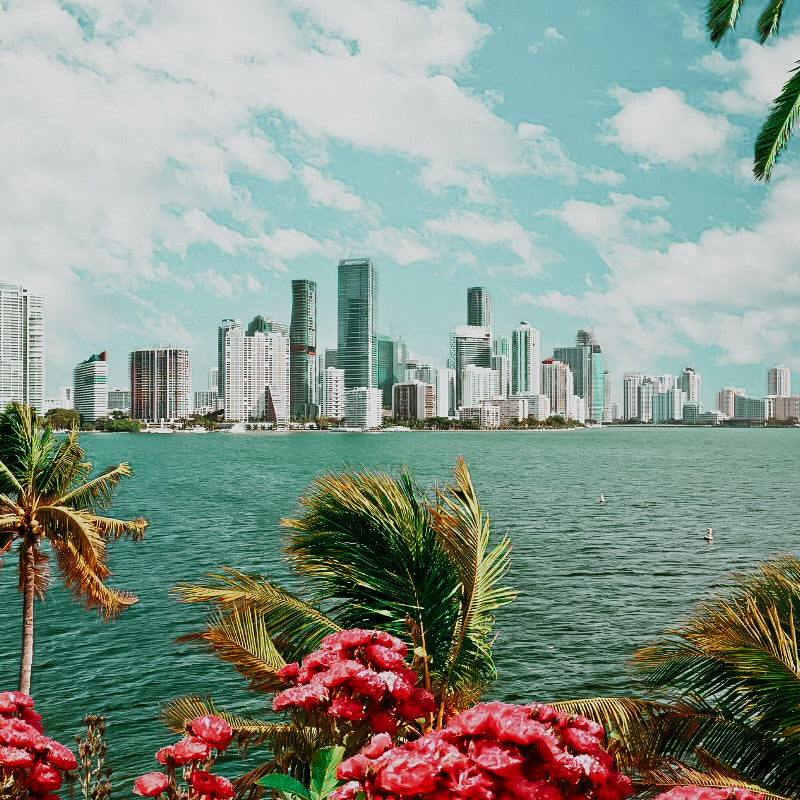 a photo of the miami skyline