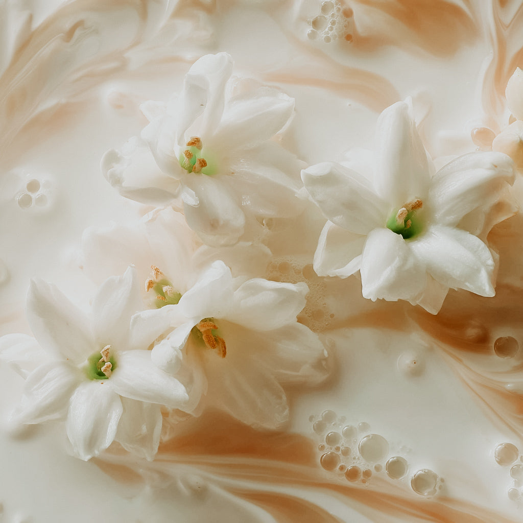 Close-up of white flowers in white milk