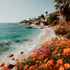 A vibrant image featuring a coastal scene with clear blue water, a sandy beach, and lush greenery with orange flowers in the foreground.