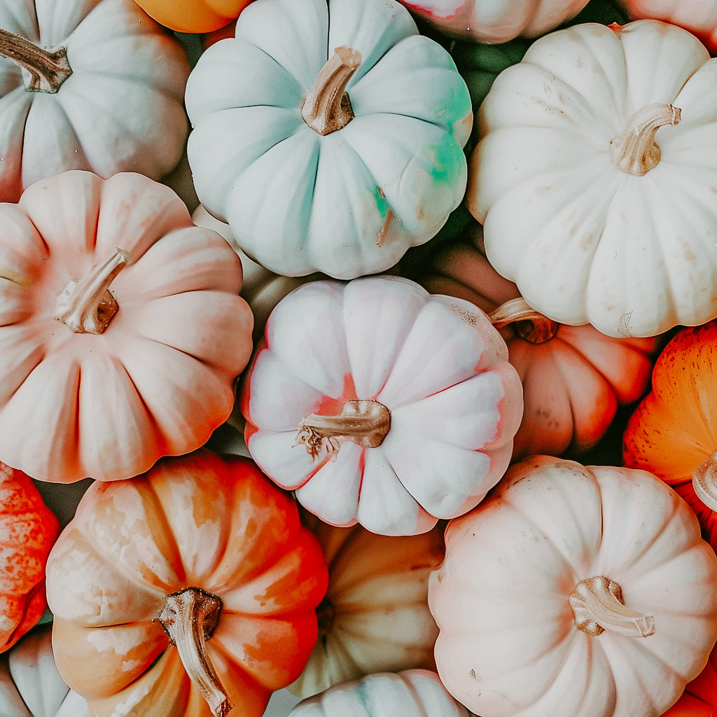 A variety of pastel-colored pumpkins arranged together.