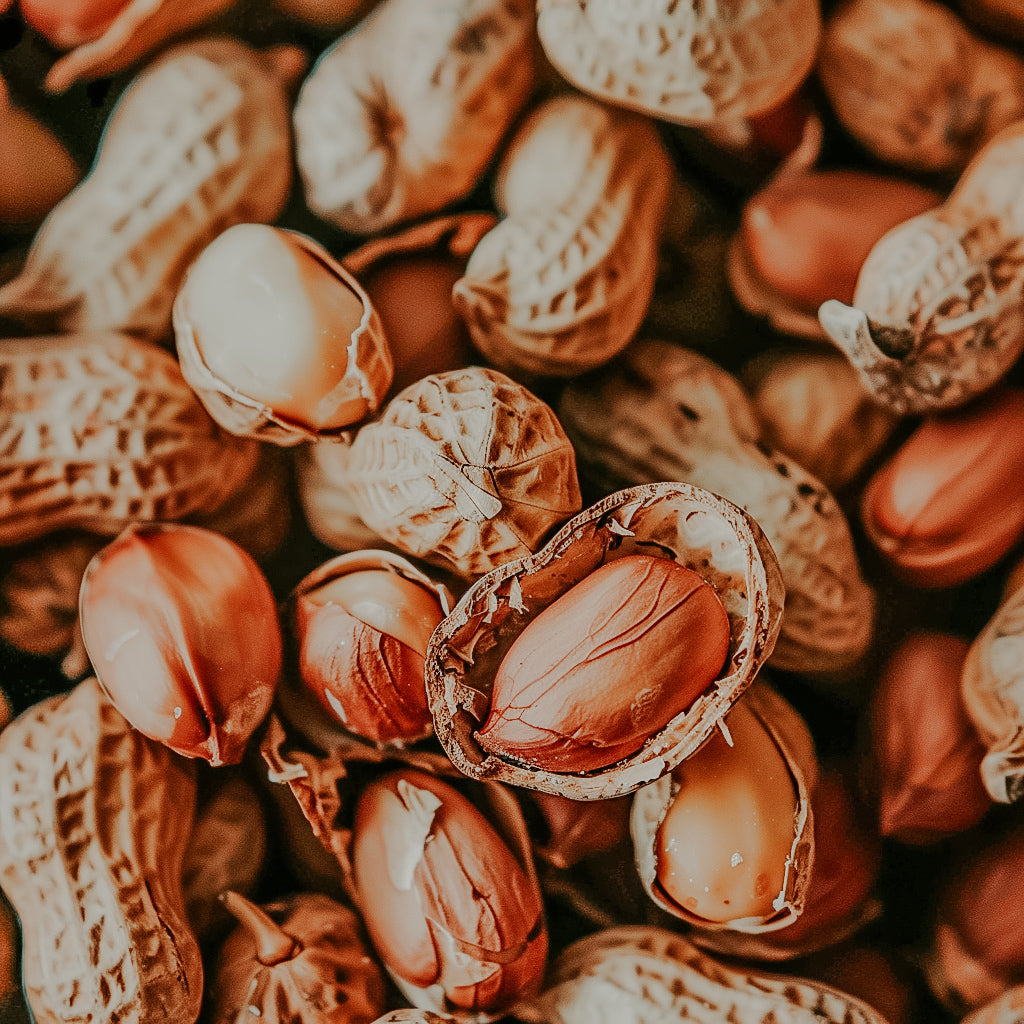 A close-up image of whole peanuts, both in shells and out of shells, displaying their colors and textures.