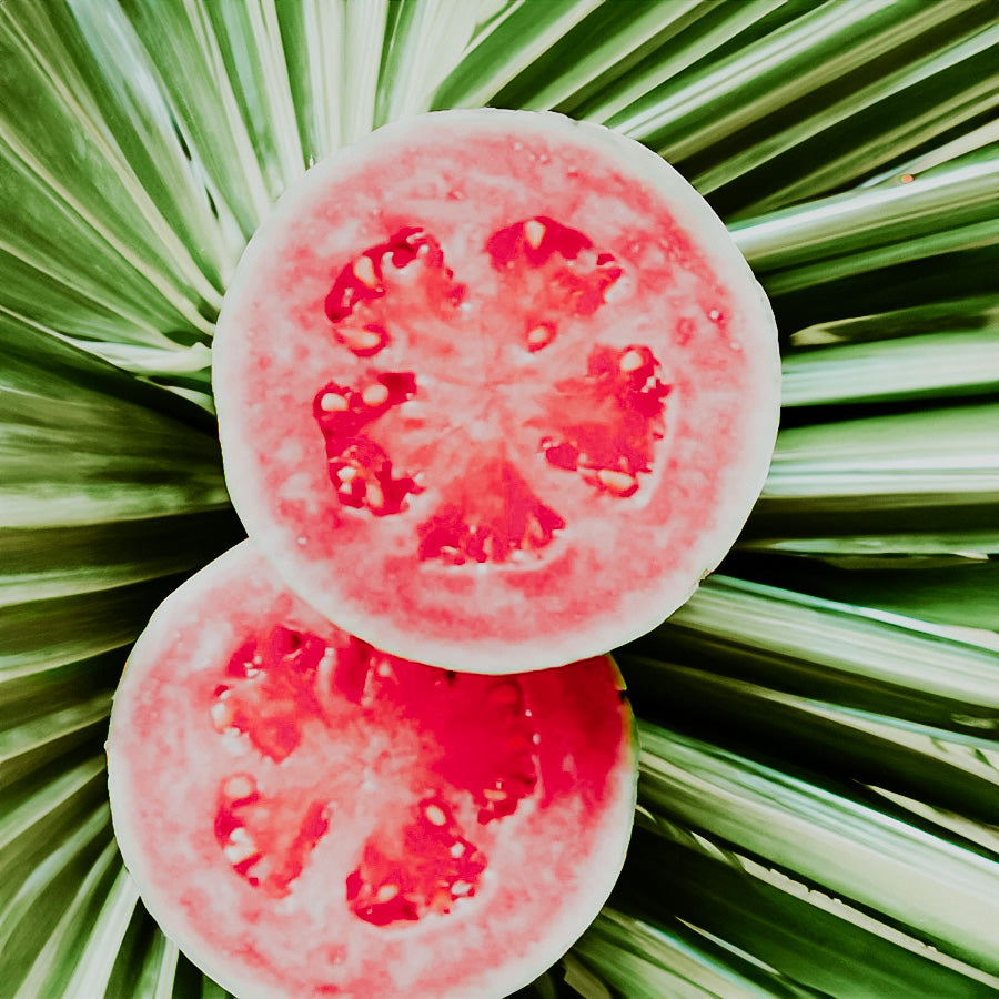 Pink Guavas on palm leaves