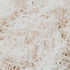 A close-up image of steamed rice.