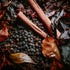 A photo of vanilla pods, spices, and leaves.