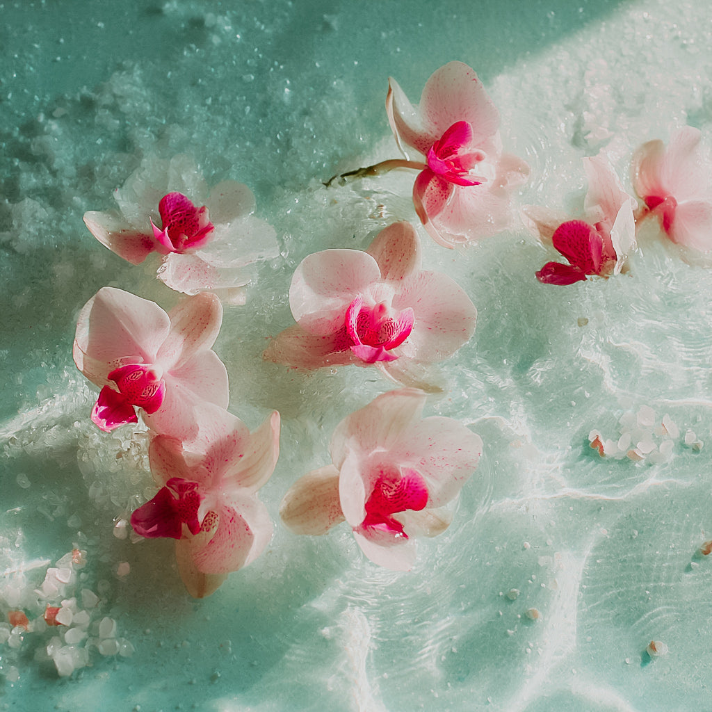 Orchid flowers floating on water with a serene, calming background
