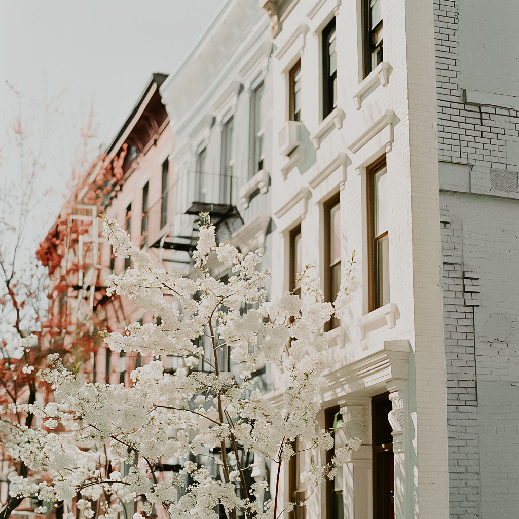 A photo of a building facade with a tree in bloom in front, representing the 'Spring in Soho' fragrance oil theme.