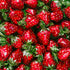 A close-up image strawberry bon bon candy