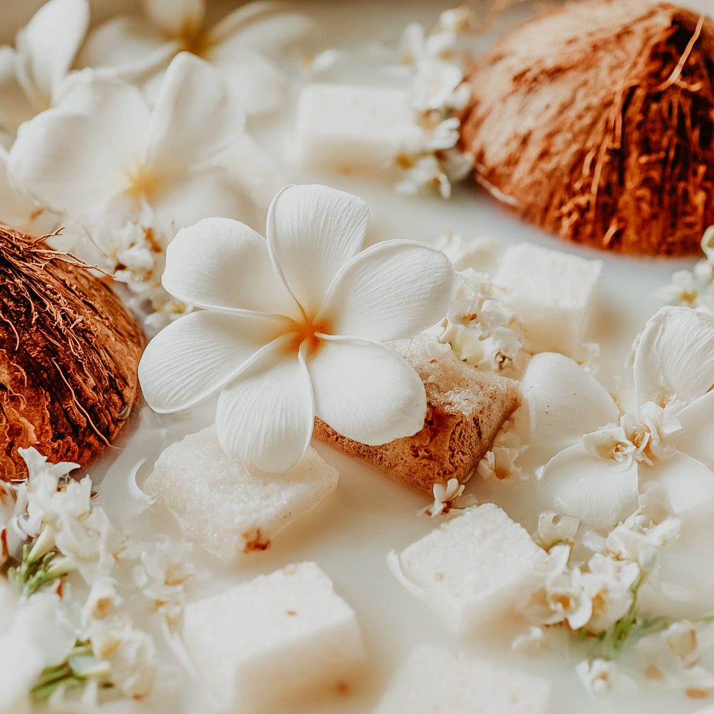 Close-up of white flowers and coconuts on a light background