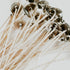 A collection of Ultra-Core Wicks with natural white color and patented open-knit construction, designed for container candles.