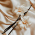 A photo of vanilla beans and a flower on a silky background.