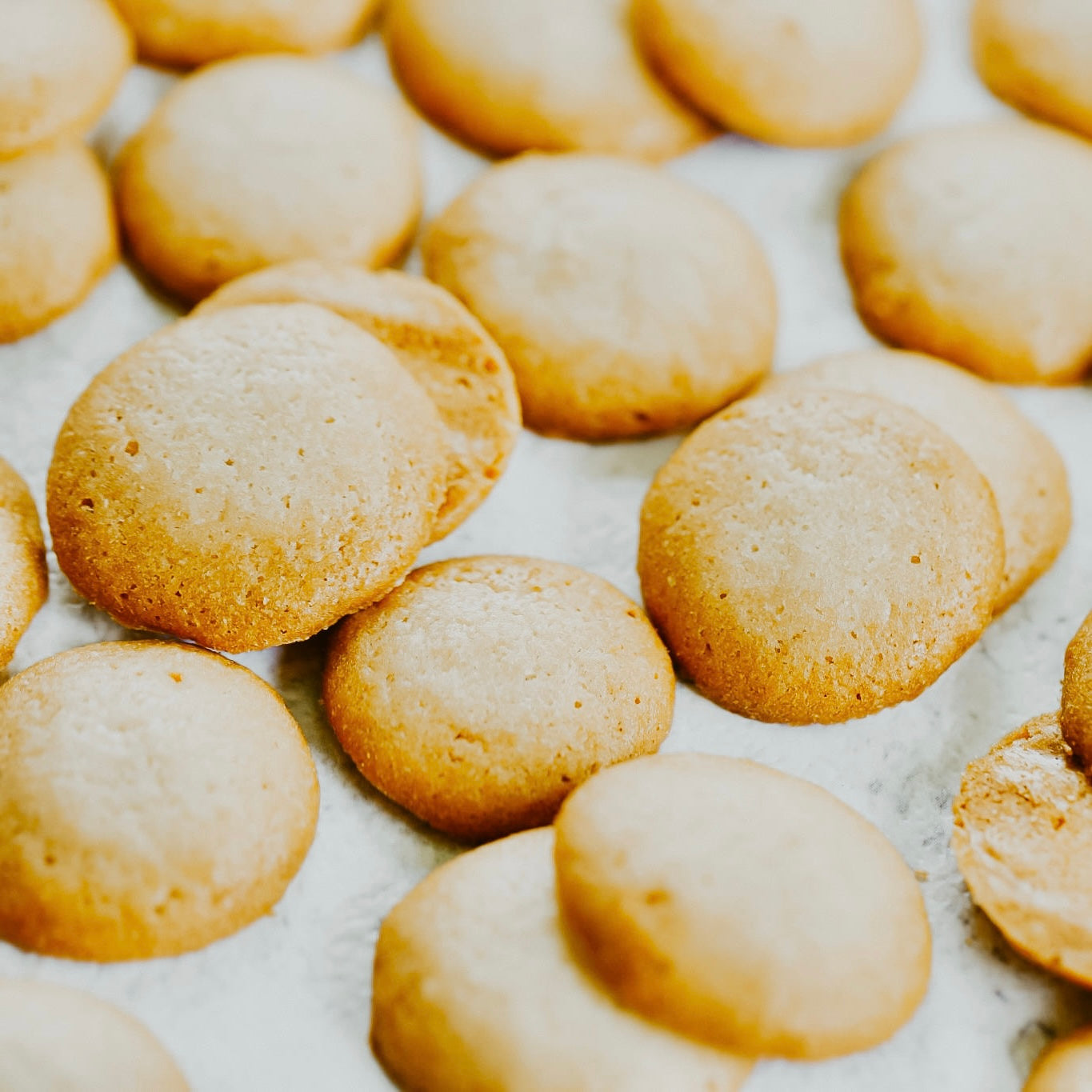 An image of vanilla wafers, small round cookies, possibly used for packaging or scent purposes.