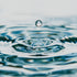 A close-up image of water droplets on a water surface creating ripples.