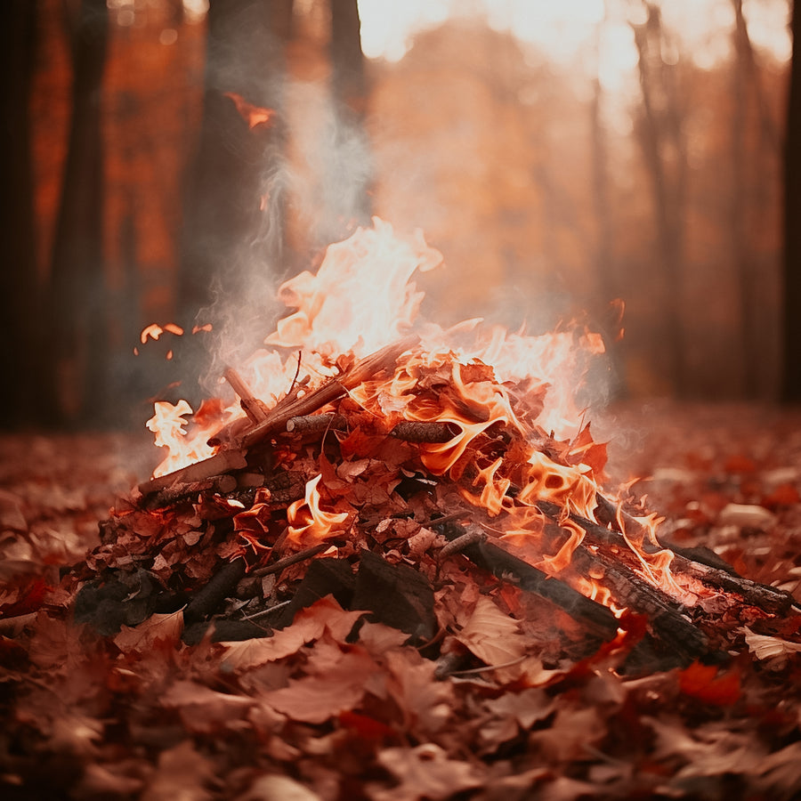 Burning Leaves | Fragrance Oil