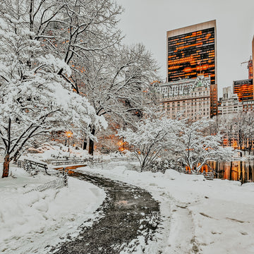 Central Park Snow | Fragrance Oil