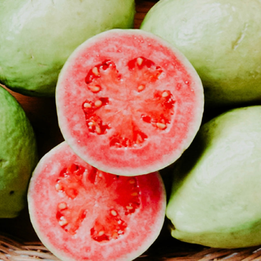 Guava Nectar | Fragrance Oil