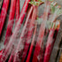 A bunch of red rhubarb stalks with a smoky aroma being applied on them from the side, resulting in white smoke.