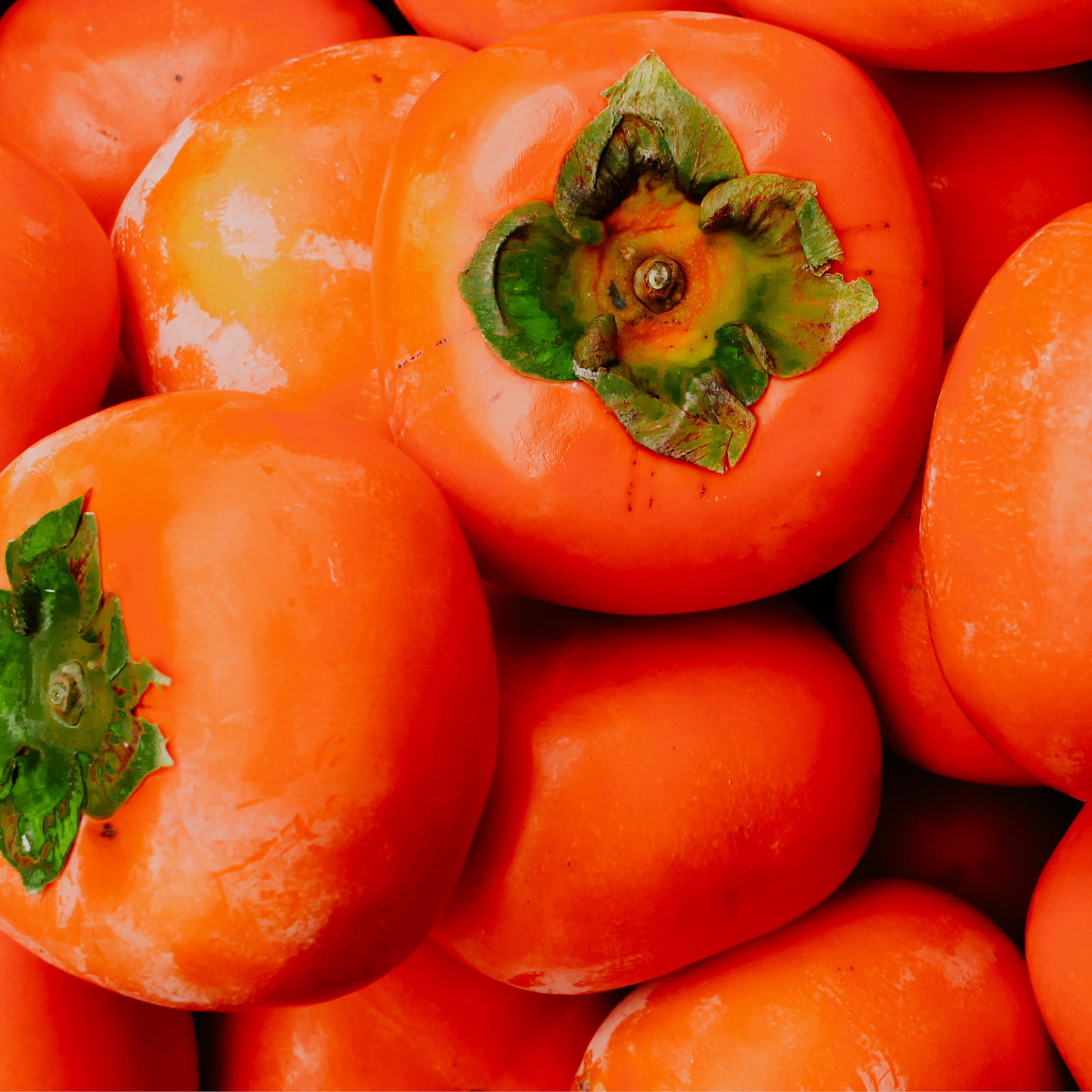 A close-up image of fresh persimmons, which are orange in color with a smooth skin and a green stem.