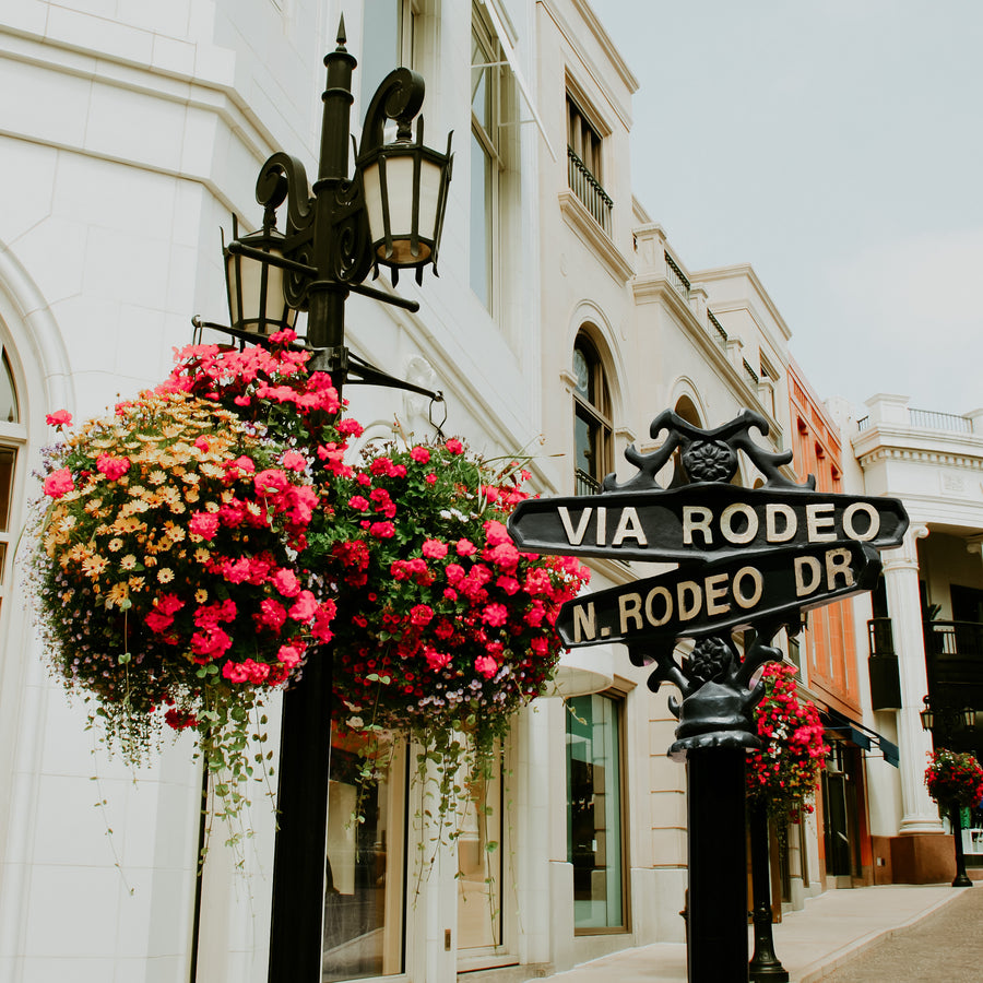 Rodeo Drive | Fragrance Oil